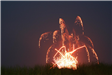 Firework
