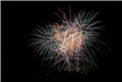 Firework