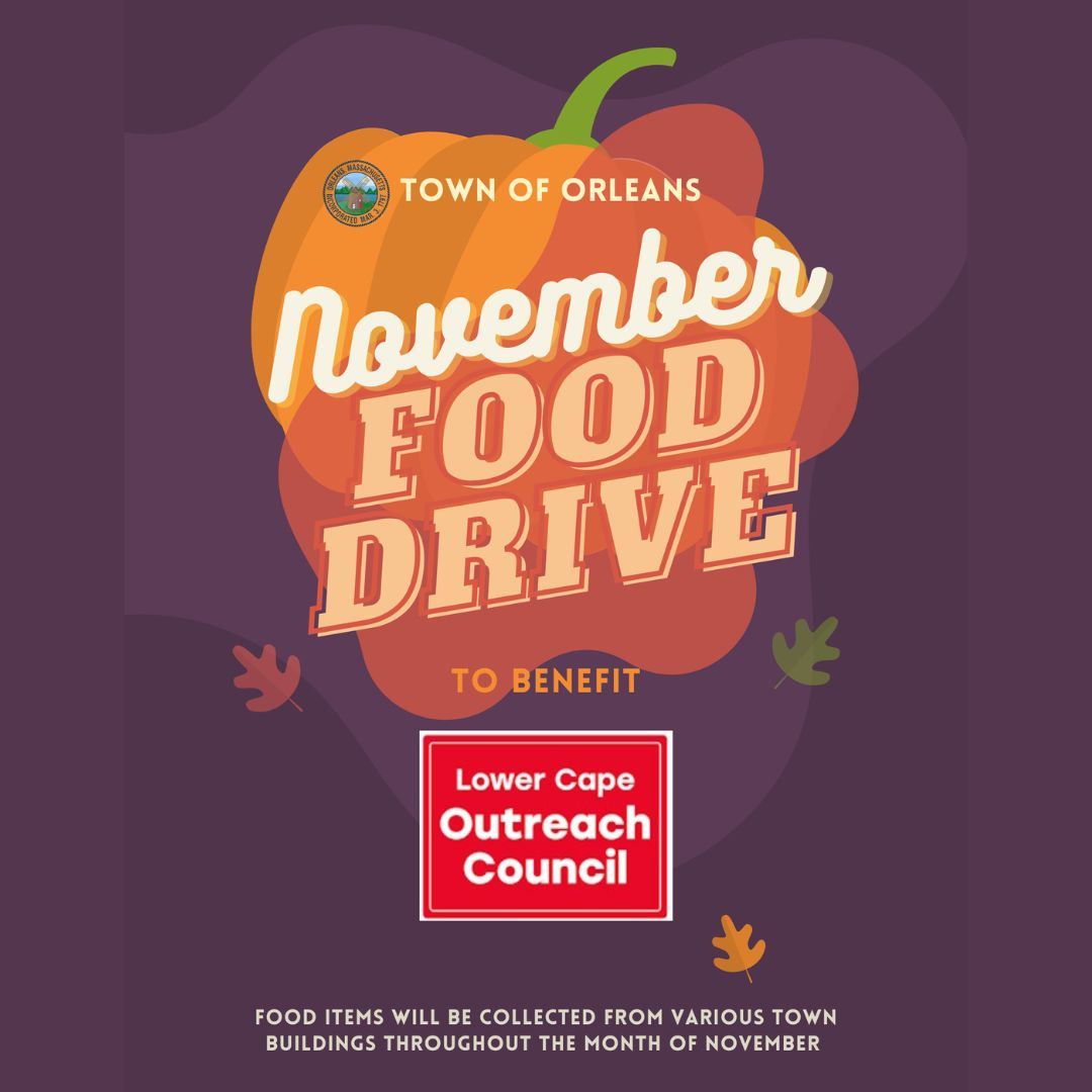 Food Drive Flier (1080 x 1080 px)