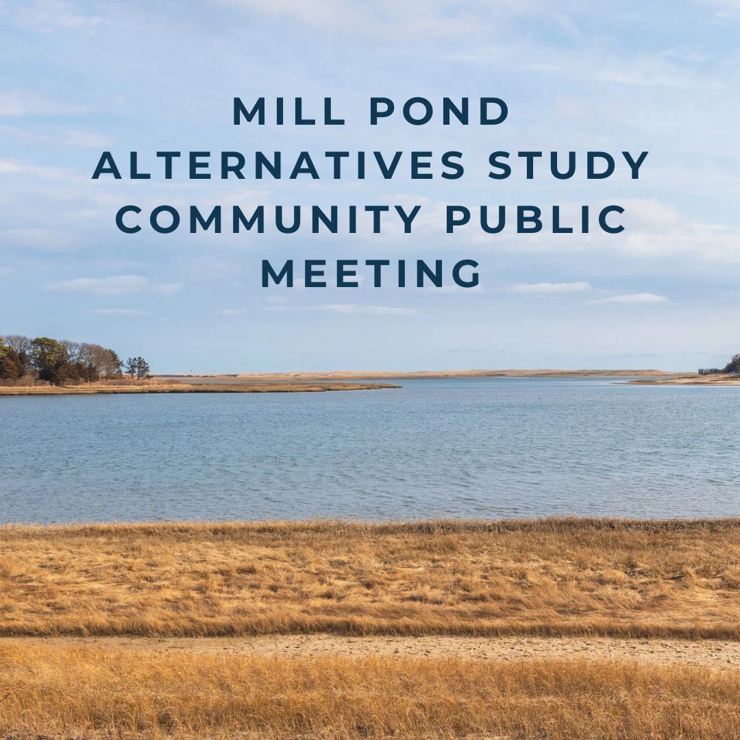 Mill Pond Study Social (1080 x 1080 px)