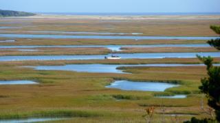 Nauset Estuary Dredging Project