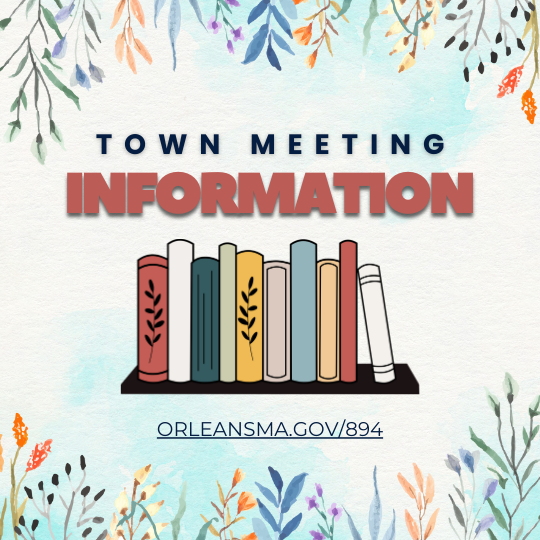 town meeting information thumb spring