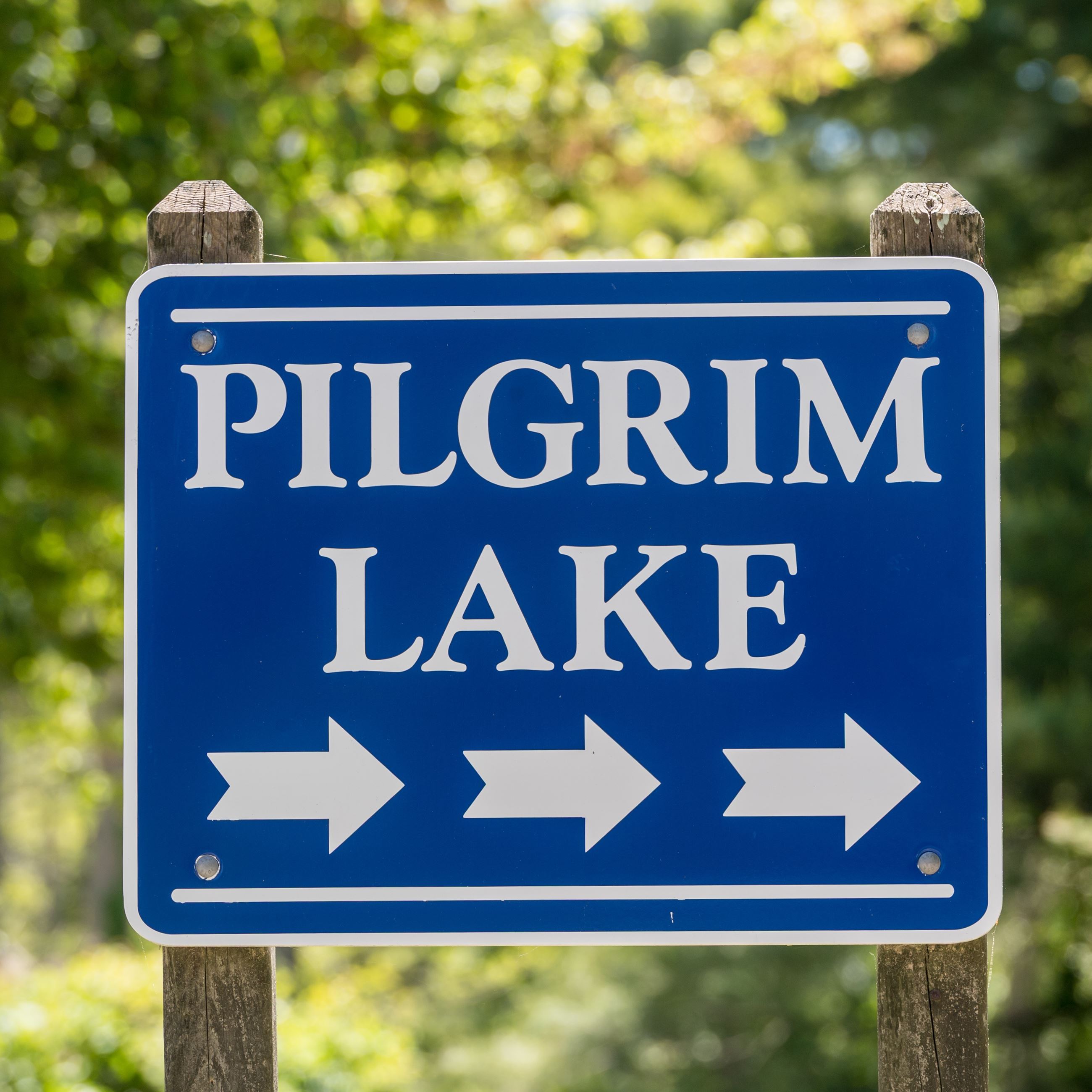 orleansspringpilgrimlake2025-391